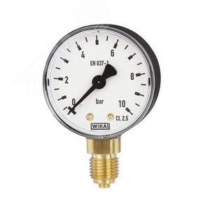 Термоманометр радиальный 100.10.080 0...10 бар 0...120C 1/2' 31119719 WIKA
