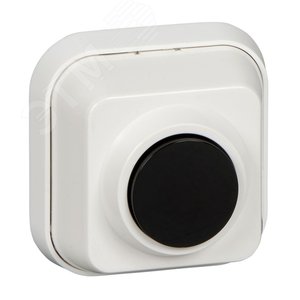 Кнопка для звонка A10-4-011 Systeme Electric