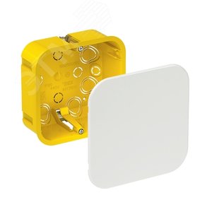 Коробка распределительная для полых стен 100x100x50 DIY IMT351611 Systeme Electric