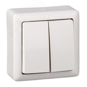 ХИТ Выключатель двухклавишный наружный 250В 6А белый VA56-232-B Systeme Electric