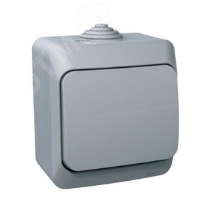 ЭТЮД Выключатель одноклавишный наружный IP44 серый BA10-041C Systeme Electric